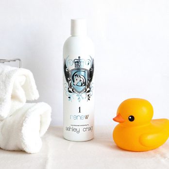 Ashley Craig  – מחדיר לחות – #1 SHOW SALON SPA – RENEW