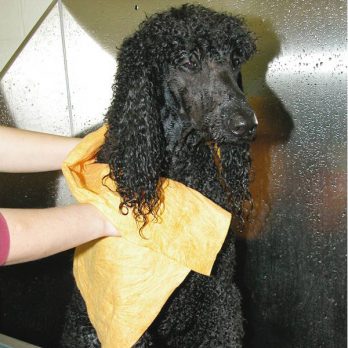 Show Tech – מגבת סינטטית סופגת METRO