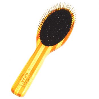 Bass – מברשת פינים אובאלית גדולה