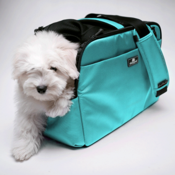 Sleepypod Atom – מנשא לכלבים וחתולים מורשה טיסה כחול ביצת רובין