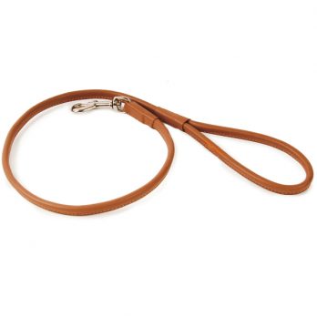 Show Tech – רצועה לקולר – עור חום