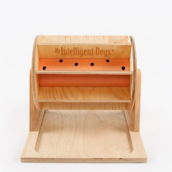 My Intelligent Dogs – Dog’s Fortune Wheel – גלגל המזל