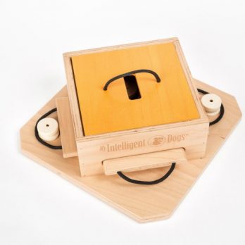 My Intelligent Dogs – Trouble – צרות