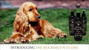 SILK-Basics-Plus