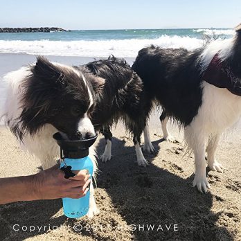 Highwave Auto Dog Mug – בקבוק שתיה מתמלא בלחיצה – המקורי !