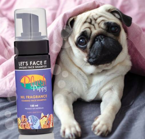 Plush Puppy - שמפו ייחודי לפנים "בואו נודה בזה" Let’s Face It Gentle Face Shampoo