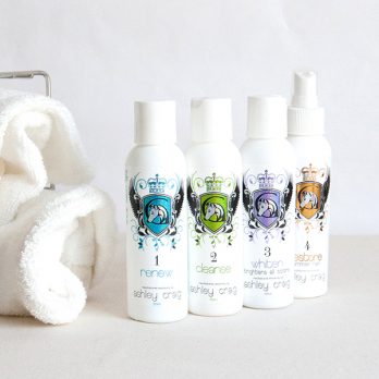 Ashley Craig  – ערכת נסיעות SHOW SALON SPA