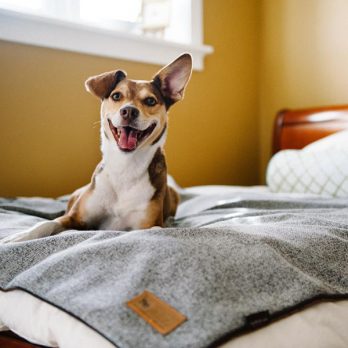 P.L.A.Y – כרבולית הגנה מפנקת – אוראו LUXE THROW – TWILL – OREO