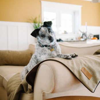 P.L.A.Y – כרבולית הגנה מפנקת – ירוק LUXE THROW – TWILL – GREEN