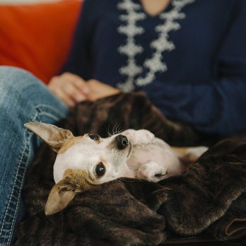 P.L.A.Y – כרבולית הגנה מפנקת – חום כמהין LUXE THROW – SNUGGLE – TRUFFLE BROWN