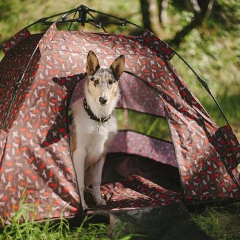 P.L.A.Y – אוהל לכלבים מוקה – SCOUT & ABOUT OUTDOOR TENT MOCHA