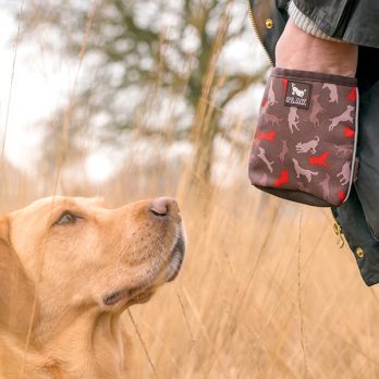 P.L.A.Y – פאוץ’ חטיפים – SCOUT & ABOUT COMPACT TRAINING POUCH – MOCHA