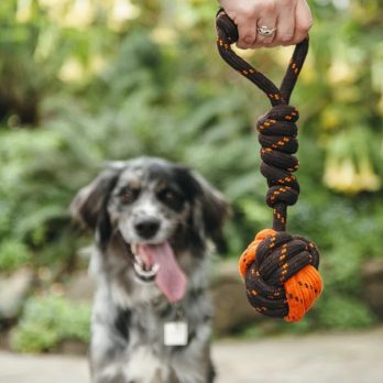 P.L.A.Y – משחק משיכה – חבל SCOUT & ABOUT ROPE TOY TUG BALL S