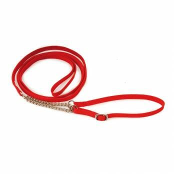 Show Tech – רצועה וקולר חצי חנק לתערוכות