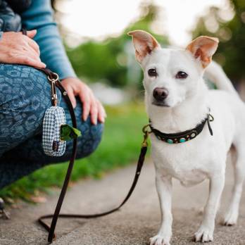 P.L.A.Y – נרתיק נשיאה לשקיות צרכים – Proper Pup Poop Bag Dispenser – Light Blue