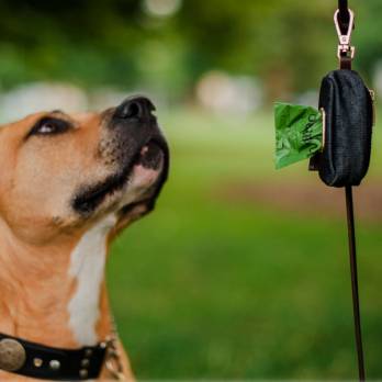 P.L.A.Y – נרתיק נשיאה לשקיות צרכים – Poop Bag Dispenser – Denim