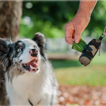 P.L.A.Y – נרתיק נשיאה לשקיות צרכים – Proper Pup Poop Bag Dispenser – Army Green/Chocolate