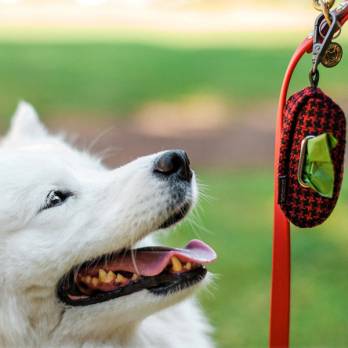 P.L.A.Y – נרתיק נשיאה לשקיות צרכים – Proper Pup Poop Bag Dispenser – Cayenne Red