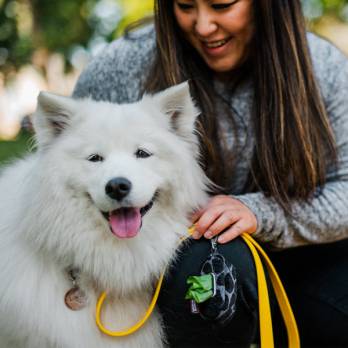 P.L.A.Y – נרתיק נשיאה לשקיות צרכים – Poop Bag Dispenser – Black Giraffe/Sangria