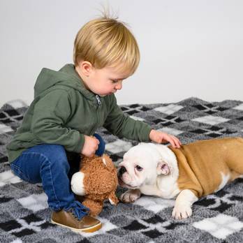 Show Tech – משטח רב תכליתי מיטת Argyle Grey