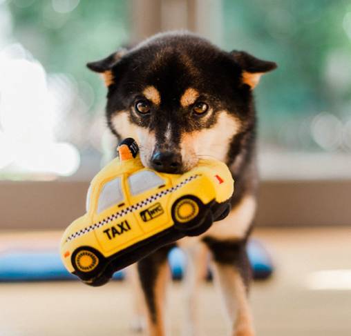 Pet Play - צעצוע בד בצורת מונית צהובה - ECO Play Canine Commute Collection