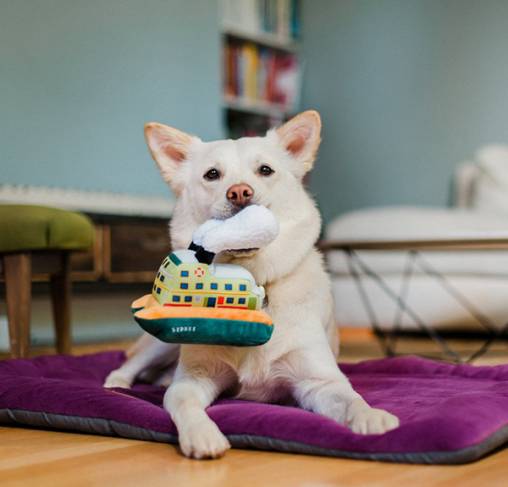 Pet Play - צעצוע בד בצורת מעבורת - ECO Play Canine Commute Collection