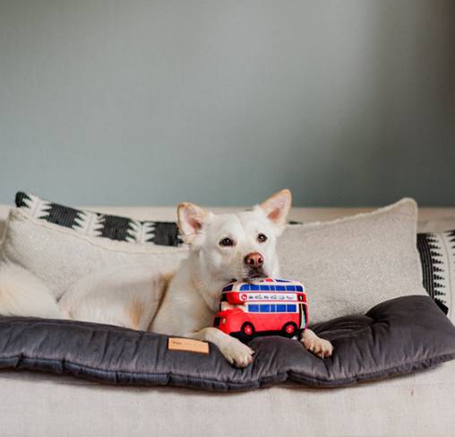 Pet Play - צעצוע בד בצורת אוטובוס אנגלי קומותיים - ECO Play Canine Commute Collection
