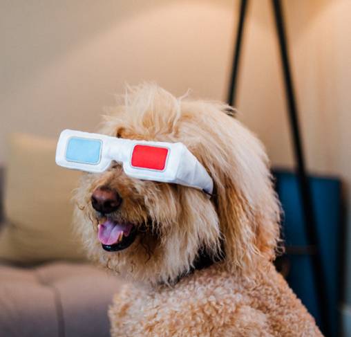 Pet Play - צעצוע בד בצורת משקפי תלת מימד - ECO Play Cinema Collection