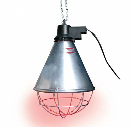 Show Tech - מנורת חום אינפרא-אדום + נורה Infra-Red Heat Lamp