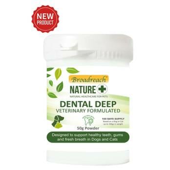 +Broadreach Nature – תערובת ייחודית של פיטוכימיקלים צמחיים וימיים התומכים בחניכיים בריאות ובריאות השיניים Dental Deep 50g Powder