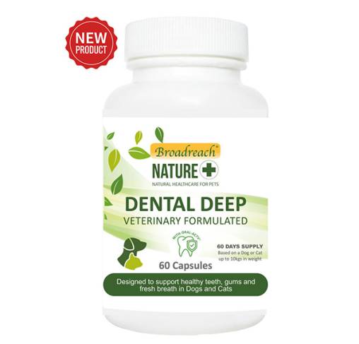 +Broadreach Nature - תערובת ייחודית של פיטוכימיקלים צמחיים וימיים התומכים בחניכיים בריאות ובריאות השיניים Dental Deep 60 Capsules