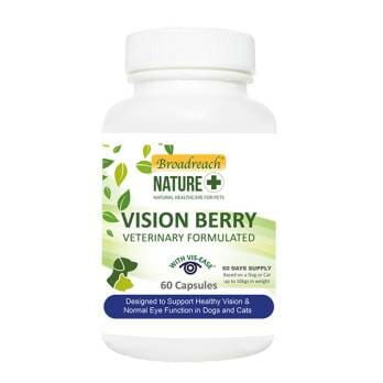 +Broadreach Nature – תוסף מזון לתמיכה בבריאות העין והראייה Vision Berry