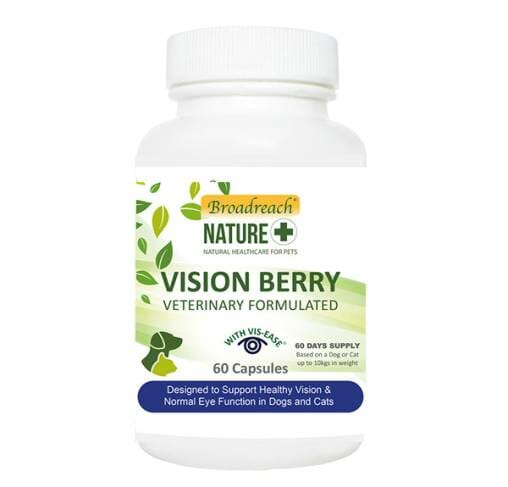 +Broadreach Nature - תוסף מזון לתמיכה בבריאות העין והראייה Vision Berry