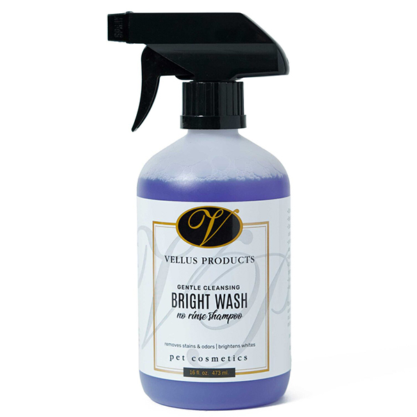 Bright-Wash-SA700593-scaled