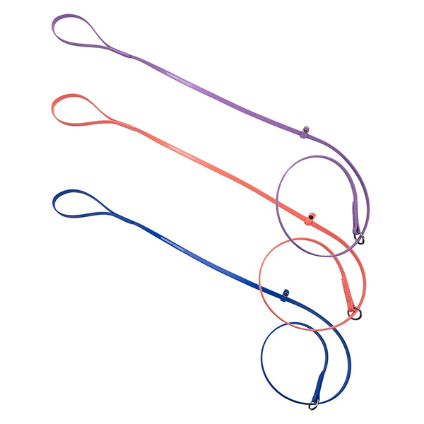 Champagne by Chris Christensen Grooming Leads1