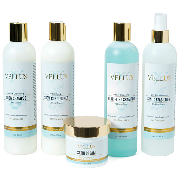 Core-Collection.SA700510