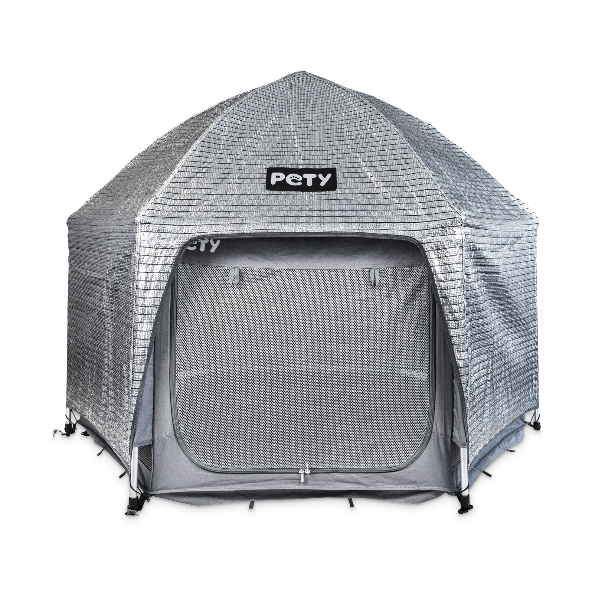 2020373_PETY_Silver_Cover_big_front